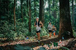 BIB: 
                            <button type="button" onclick="openModal(26130703)" class="btn btn-primary btn-sm float-right btn-popup" data-toggle="modal" data-target=".modal-high-quality">
                        <i class="fas fa-shopping-cart"></i> Add to Cart
                    </button>
                                            <button type="button" onclick="isThisMe(26130703, true)" class="btn btn-success btn-sm float-right btn-popup btn-isme hidden" data-toggle="tooltip" data-placement="bottom" title="นี่คือรูปของคุณใช่ไหม คลิกที่นี่เพื่อเอาเข้าอัลบั้ม">
                        <i class="fas fa-plus"></i> Add to album
                    </button>
                    <button type="button" onclick="isThisMe(26130703, false)" class="btn btn-warning btn-sm float-right btn-popup btn-isnotme hidden">
                        <i class="fas fa-ban"></i> Remove from album
                    </button>